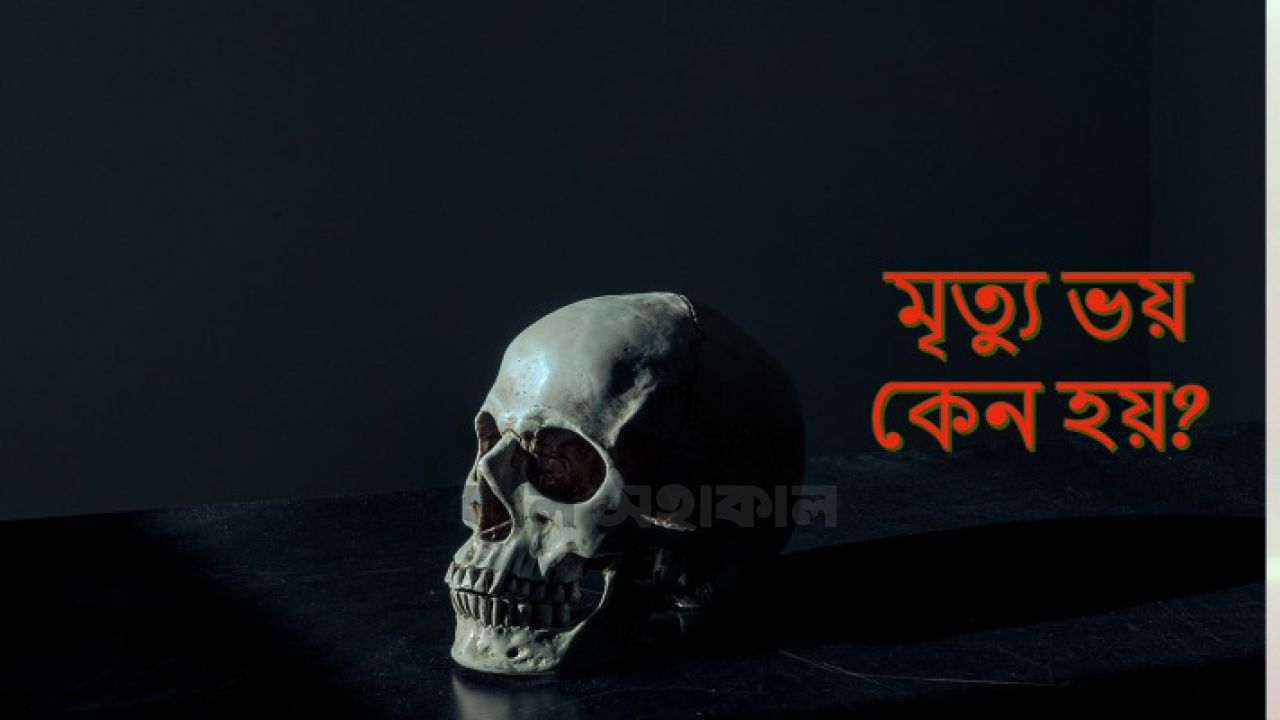 শেষ স্টেশন: মৃত্যুভয় কি কেবল হারাবার আতঙ্ক, নাকি টিকে থাকার মন্ত্র?