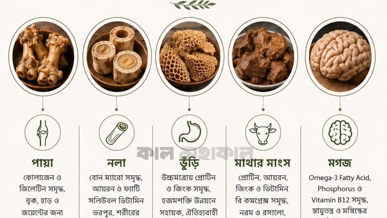 গরুর কোন অংশ খেতে আপনার পছন্দ? চলুন জানি তার স্বাস্থ্য উপকারিতা 