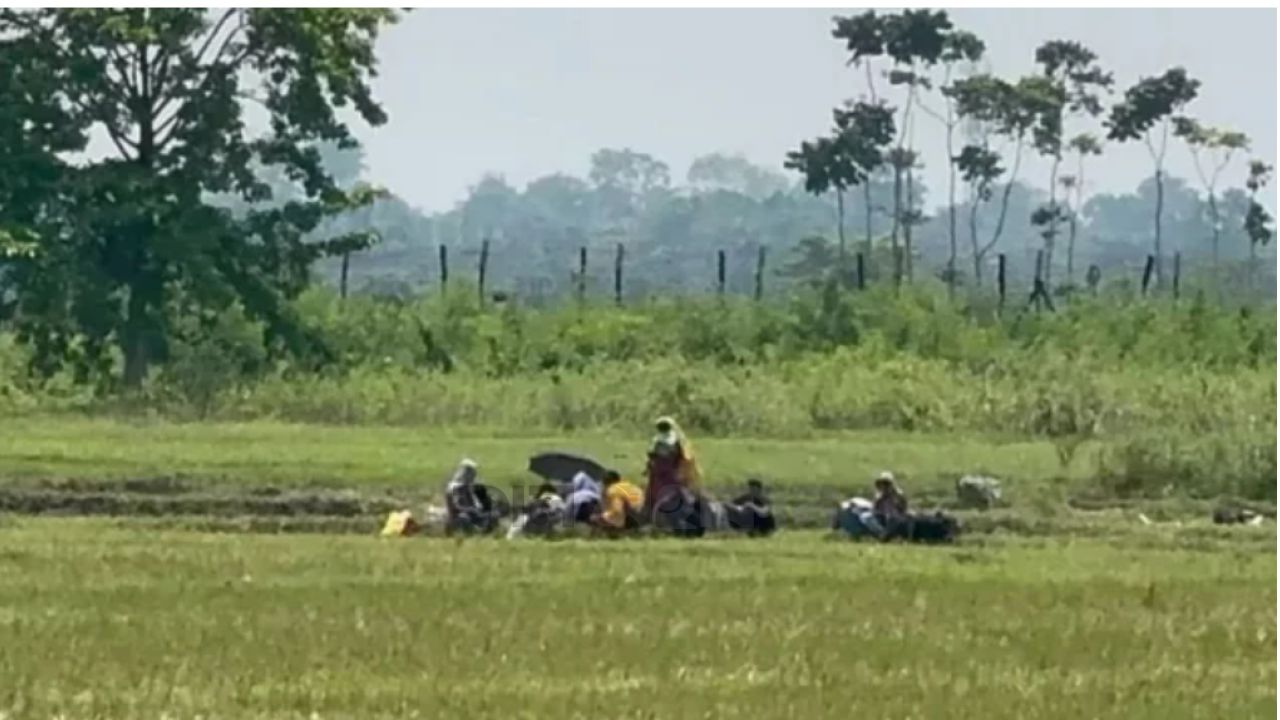 সীমান্তে অস্থিরতা: পুশইন ঠেকাতে বিজিবি-বিএসএফ মুখোমুখি অবস্থান