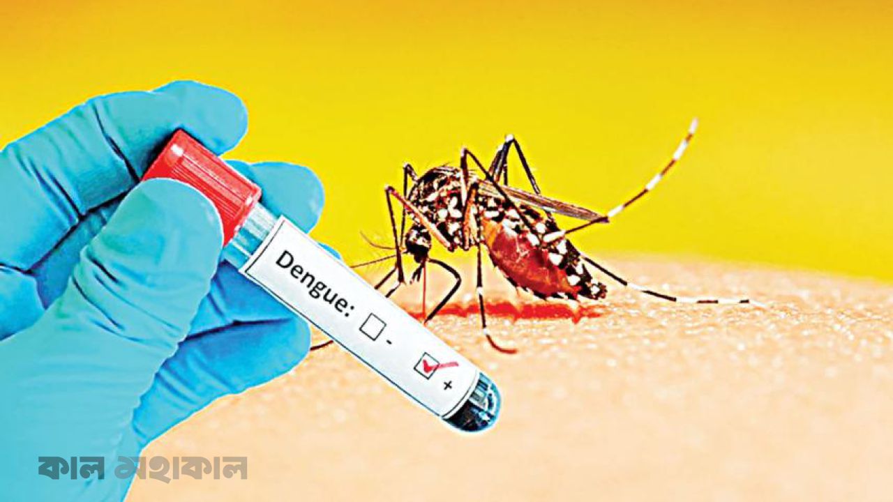 সরকারি হাসপাতালে বিনামূল্যে ডেঙ্গু পরীক্ষা হবে ডিসেম্বর পর্যন্ত 