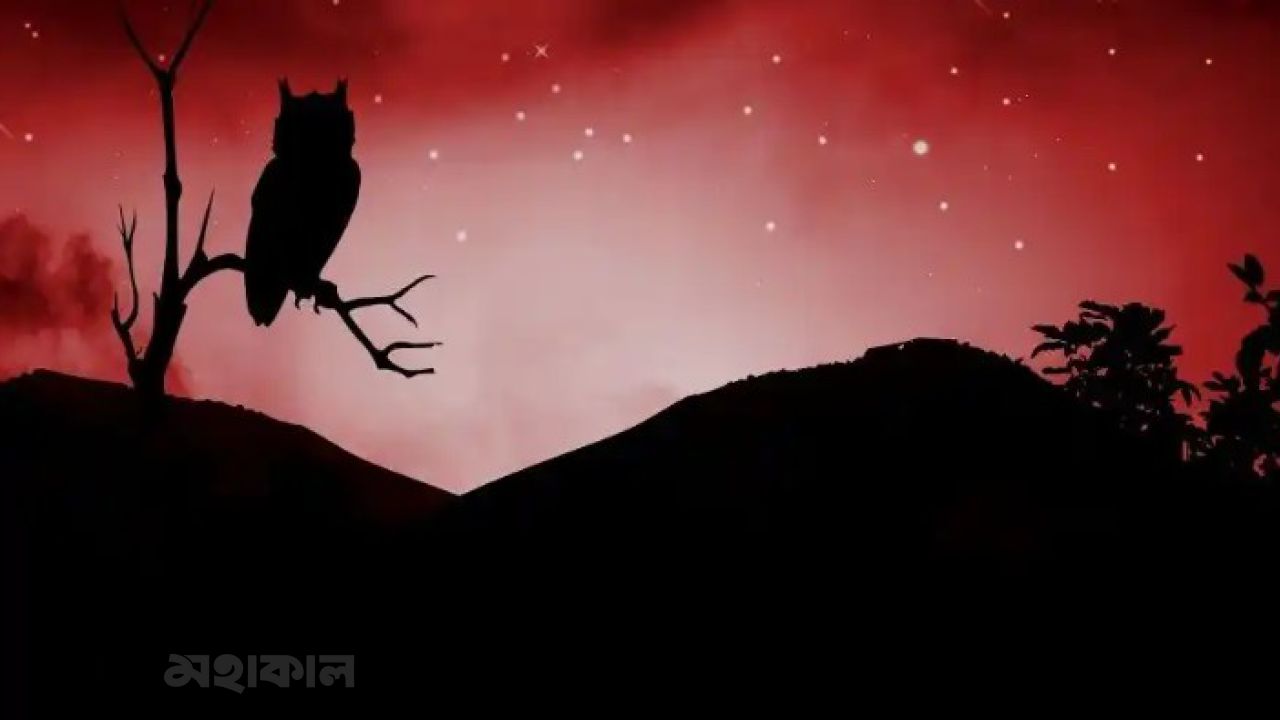 গভীর রাতে কেন বারবার মনে পড়ে প্রাক্তনকে?