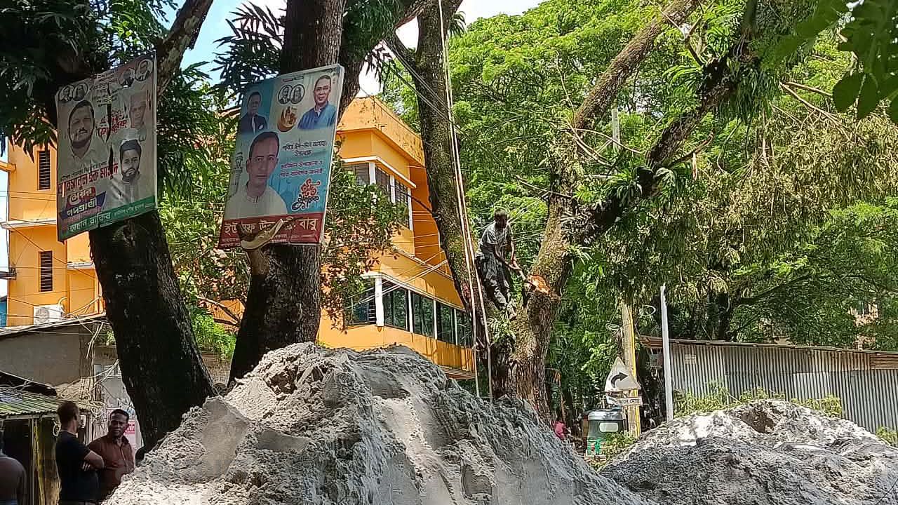 চাটখিলে যুবদল নেতার নেতৃত্বে সরকারি গাছ কাটার চেষ্টা,বন্ধ করলেন বন কর্মকর্তা