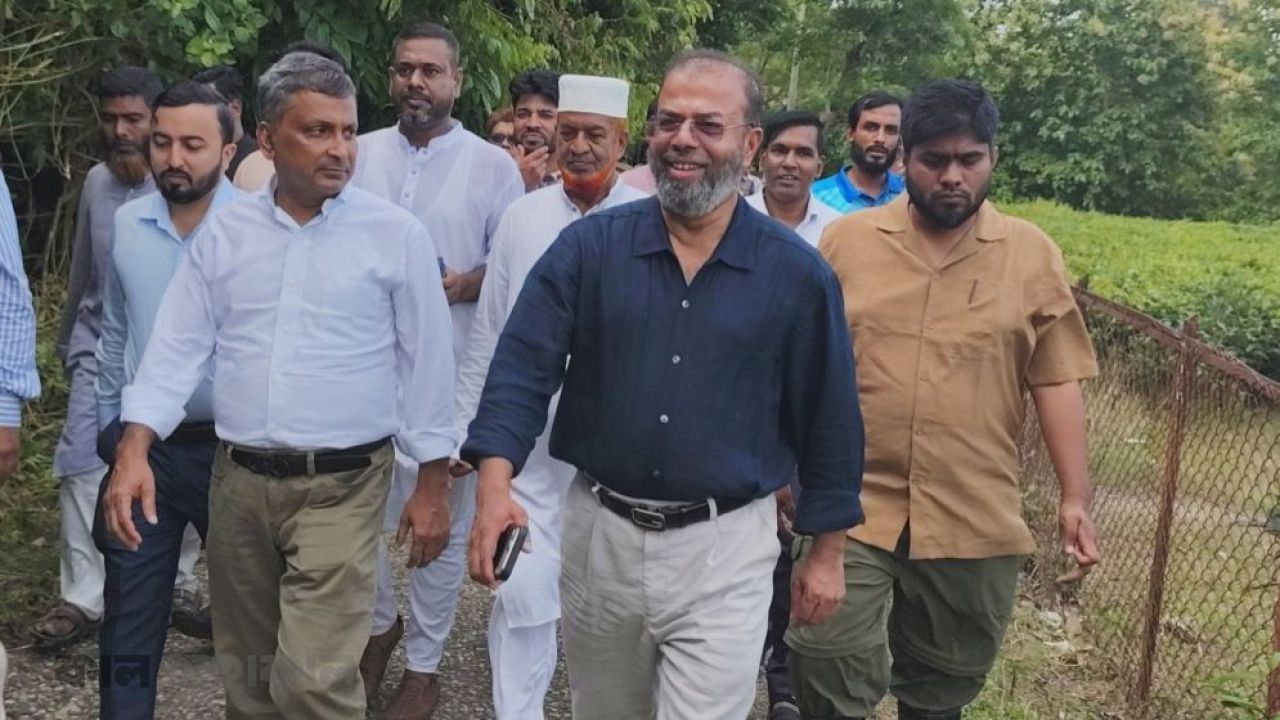 কাঠ পোড়ানো ইটভাটার বিরুদ্ধে কঠোর হওয়ার হুঁশিয়ারি